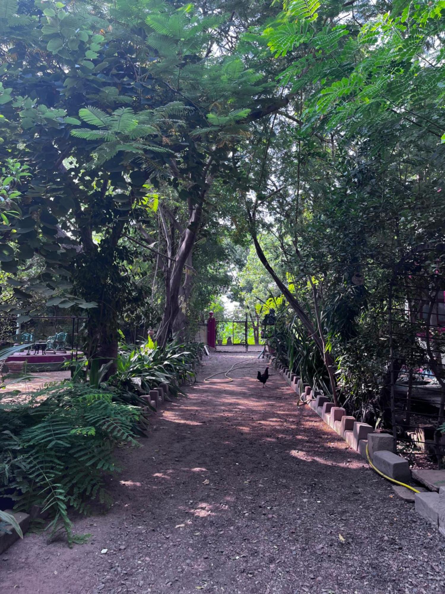 Sharad Baug Homestay Bhuj Eksteriør bilde
